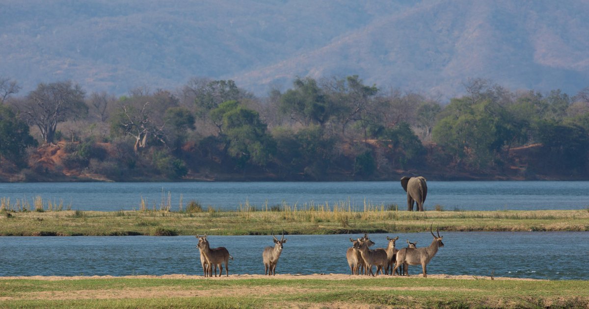 Mana Pools - Journeysmiths